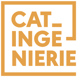 CAT Ingénierie